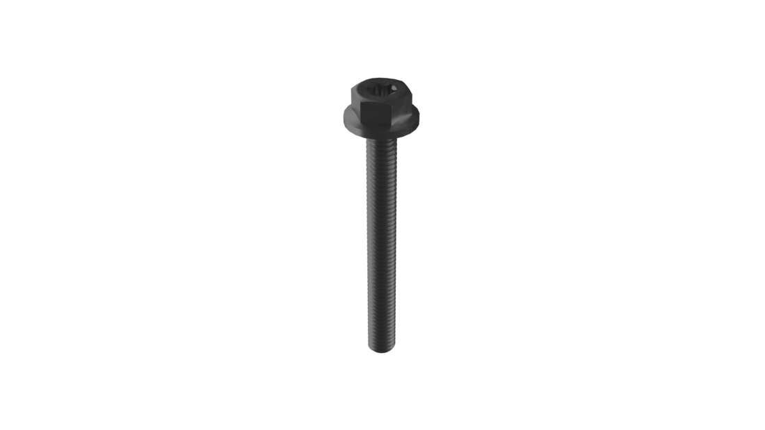 Montageschroef M6 x 55mm zwart