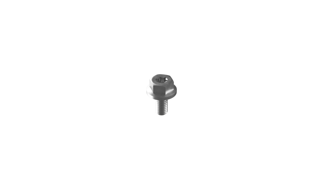 Montageschroef M6 x 12mm