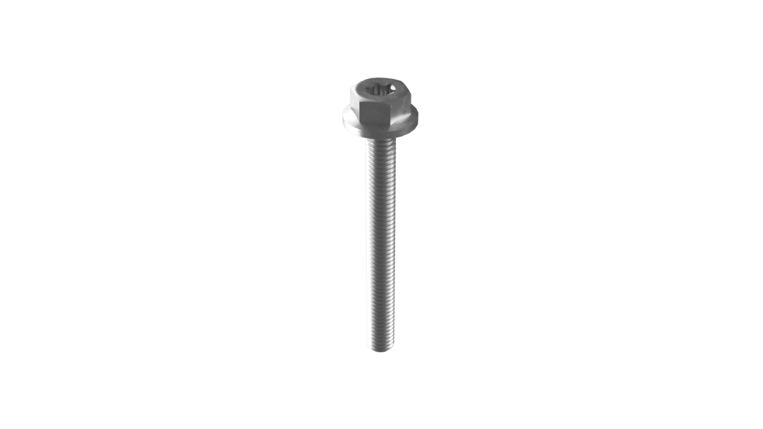 Montageschroef M6 x 55mm